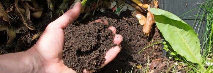 Person hält Erde aus Komposter in Hand